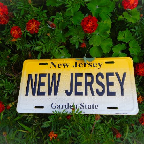New Jersey Ethics